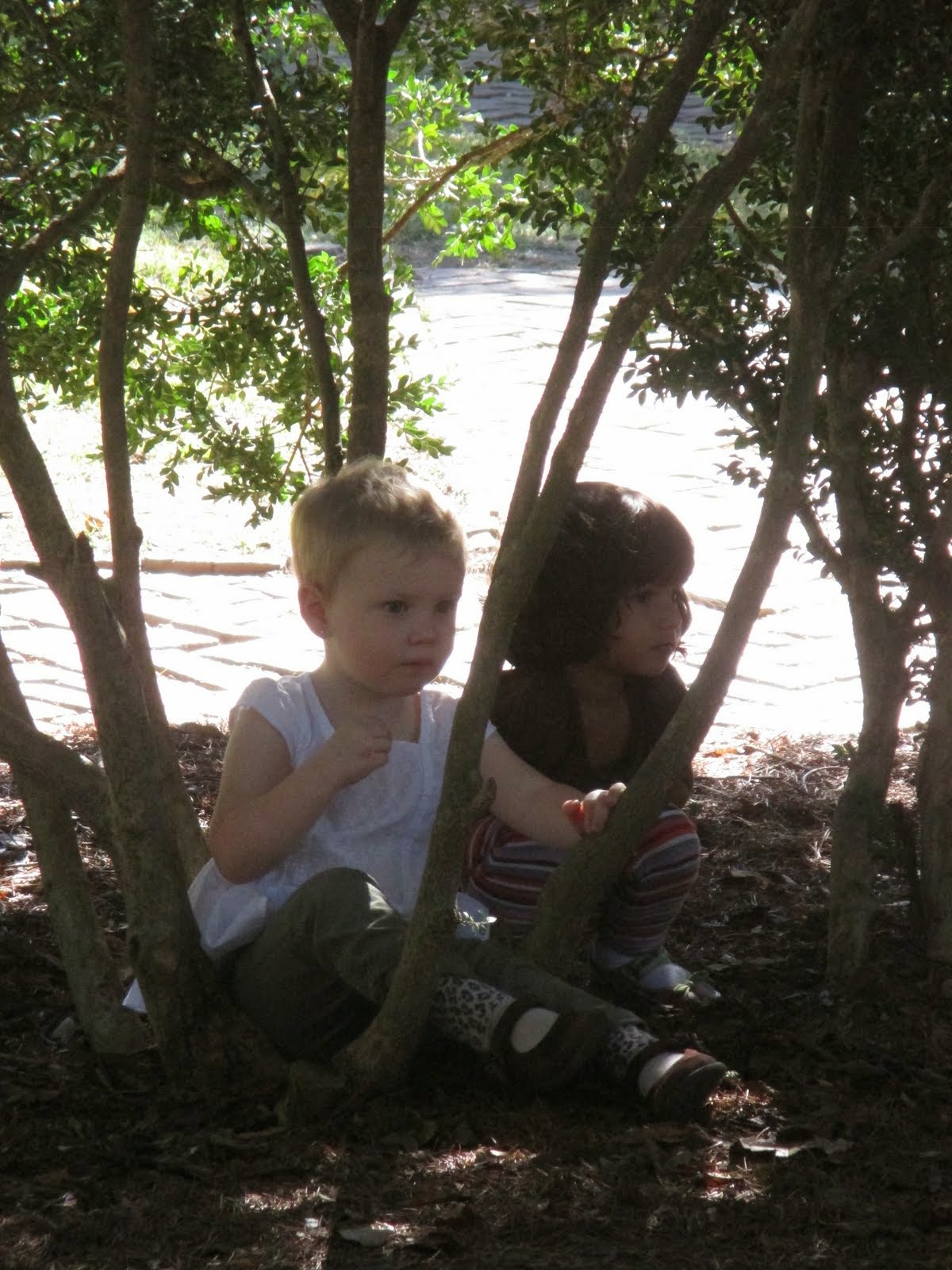 Sabot at Stony Point's Photo