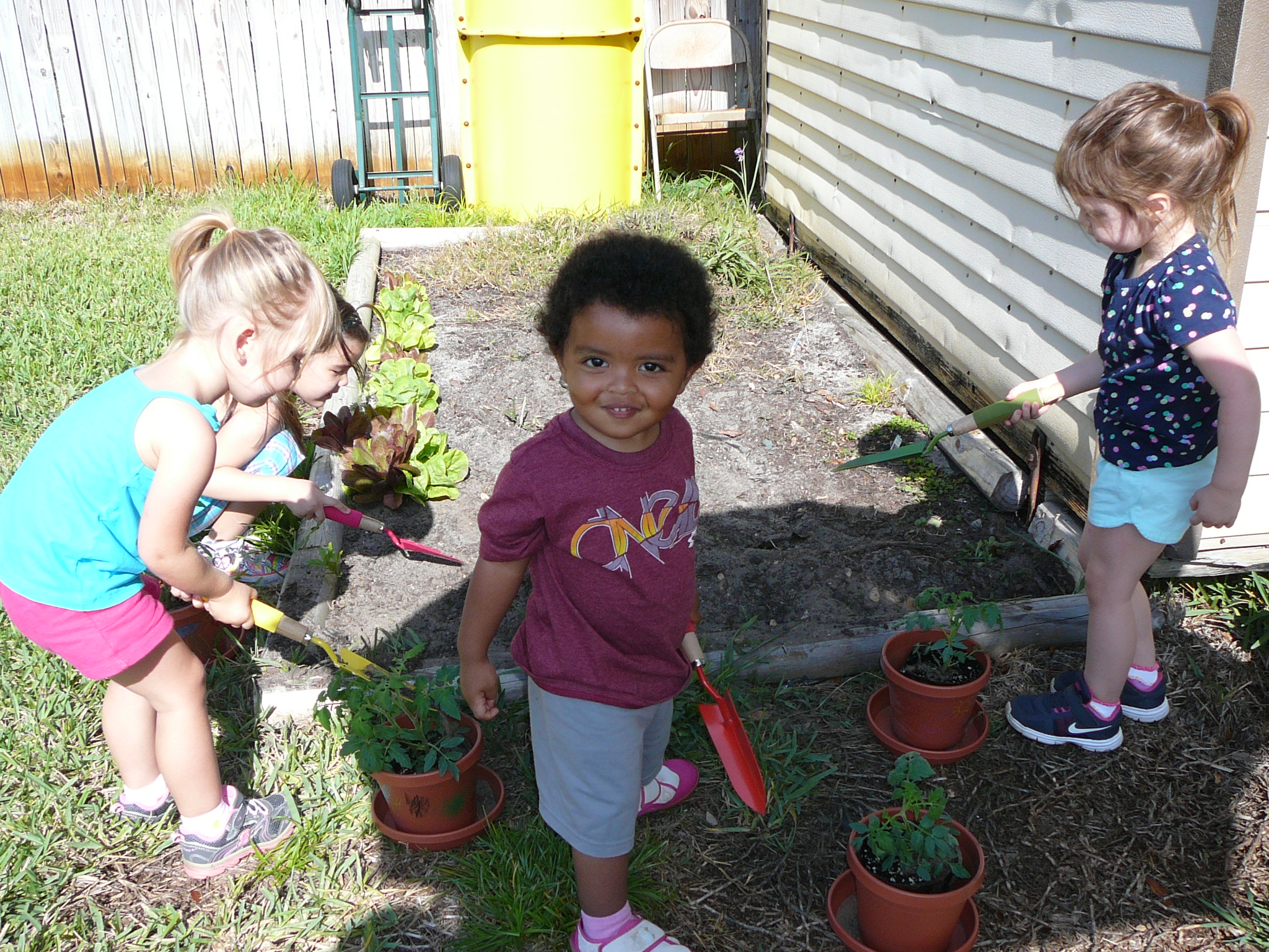 Millie's Munchkins's Photo