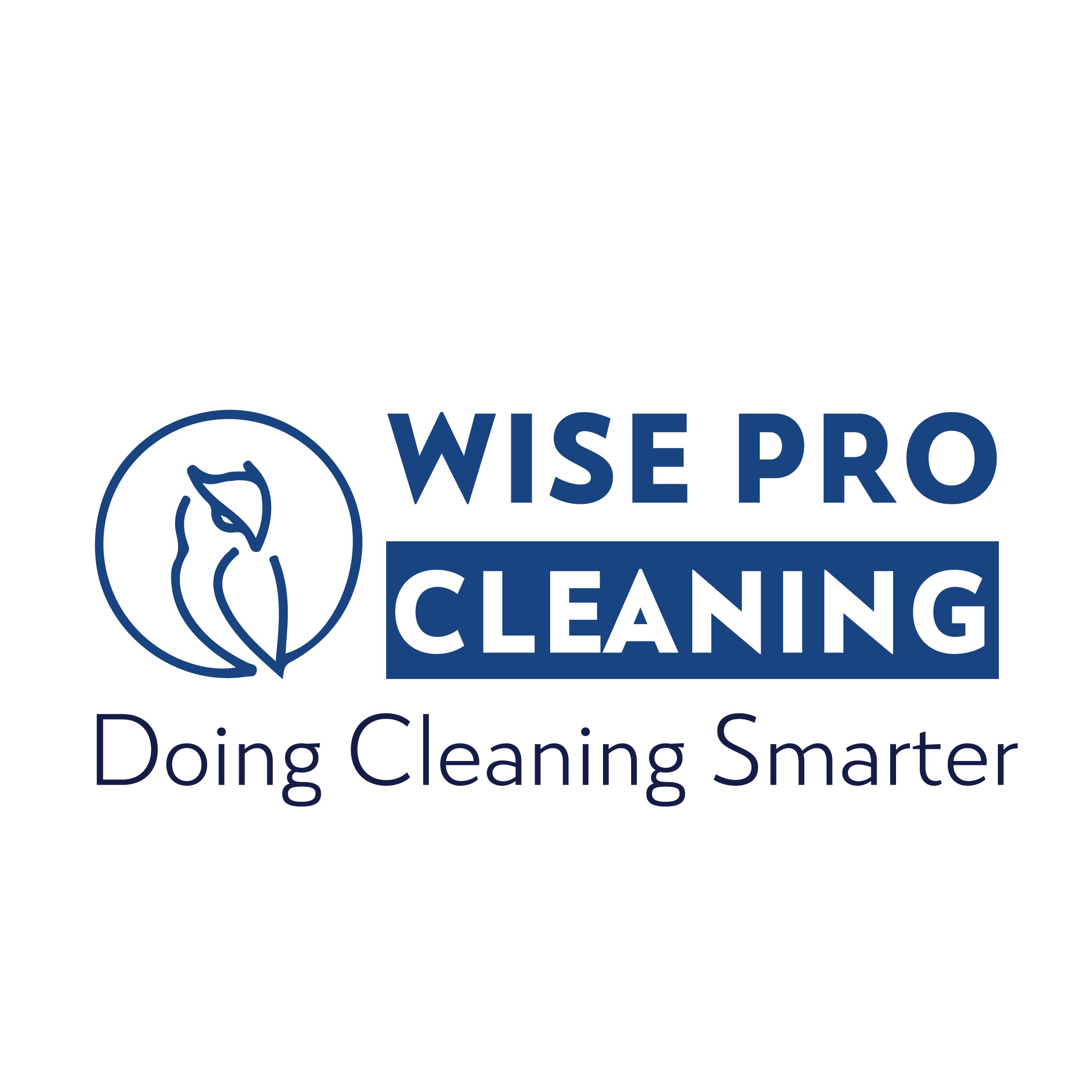 WISE PRO CLEANING's Photo