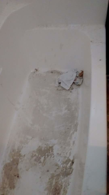 Palmer Cleaning LLC's Photo