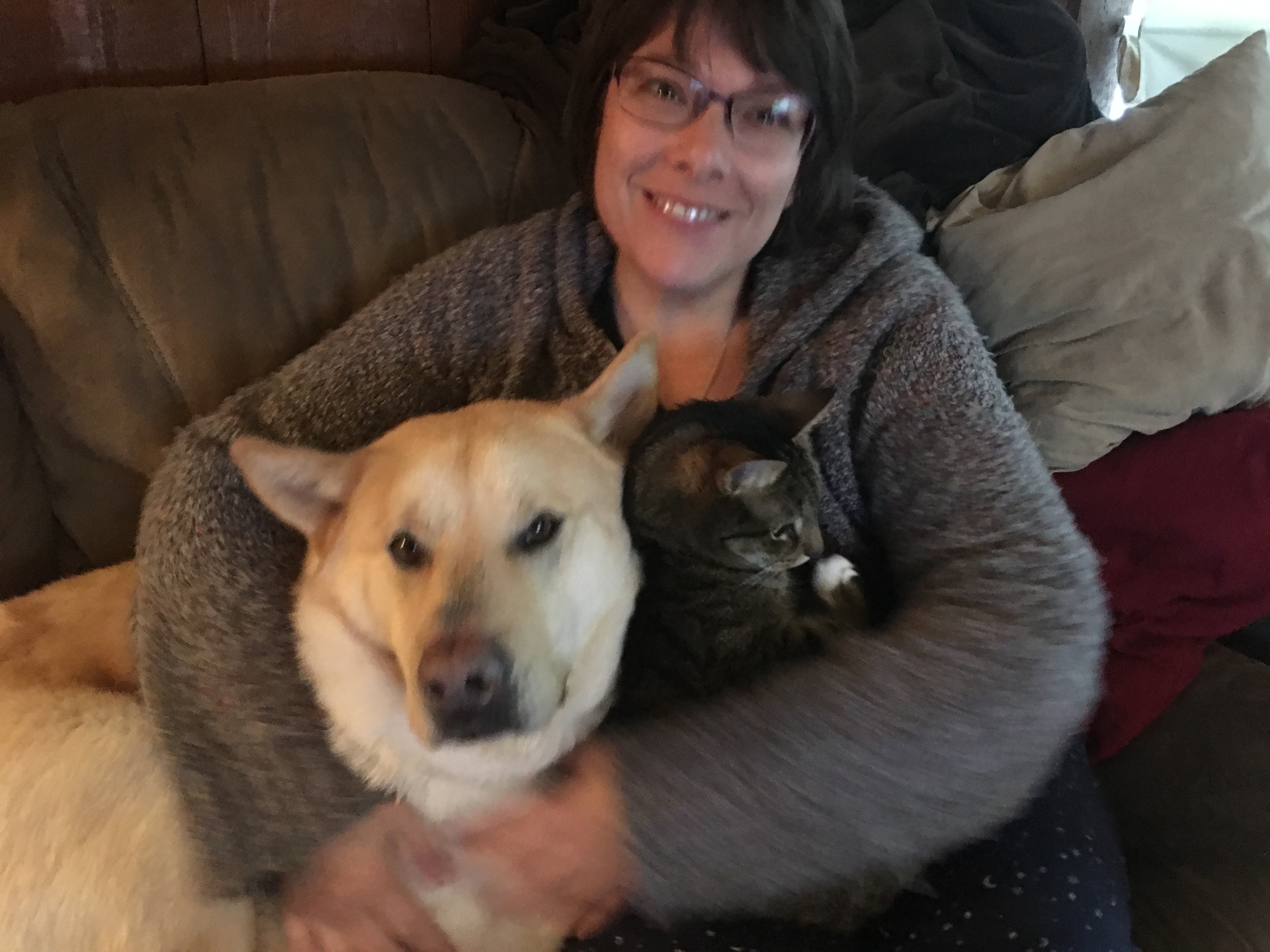 Desi's Cat Cottage & Animal Care, LLC's Photo