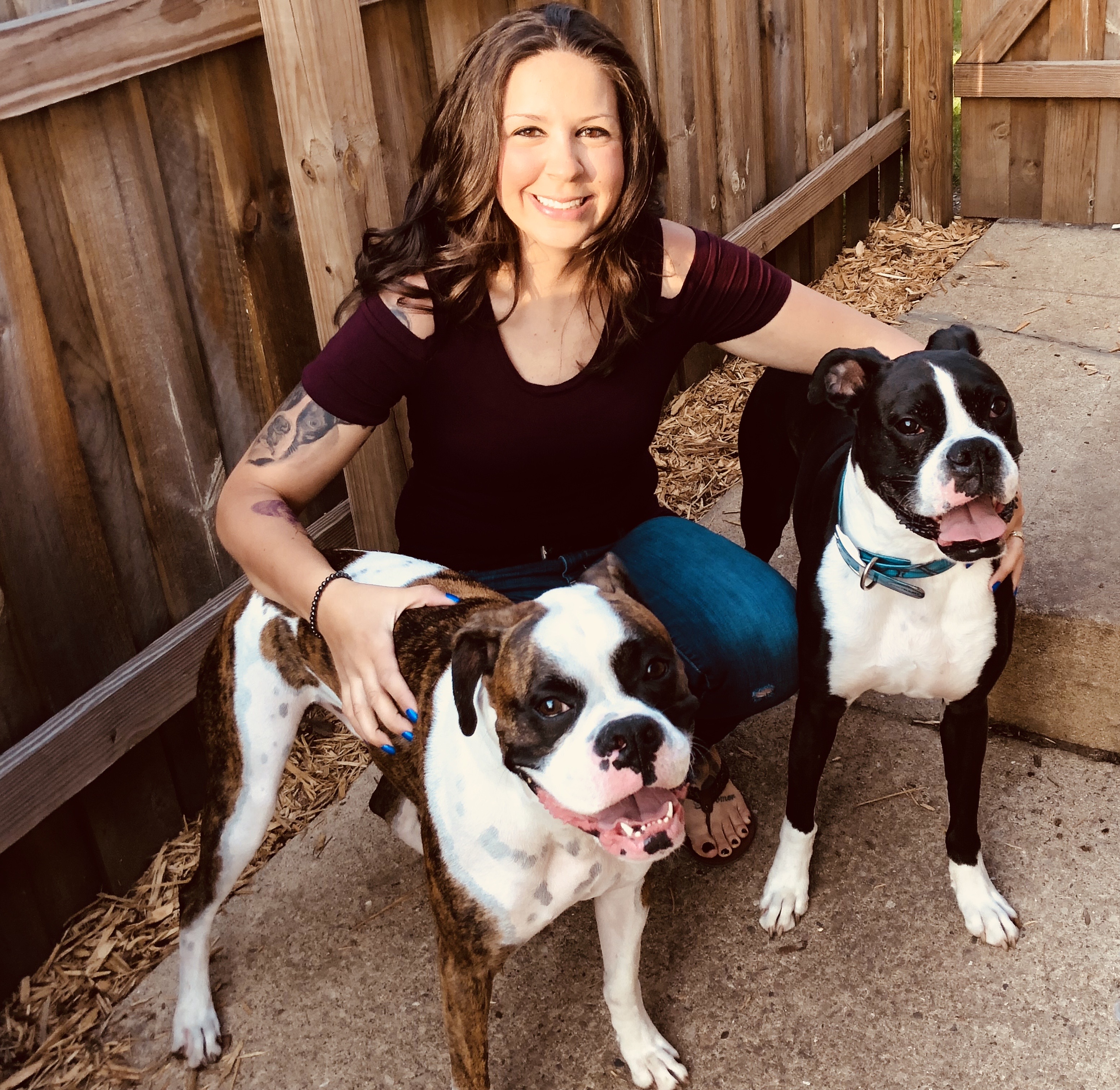 Carolina Canine Advisor's Photo