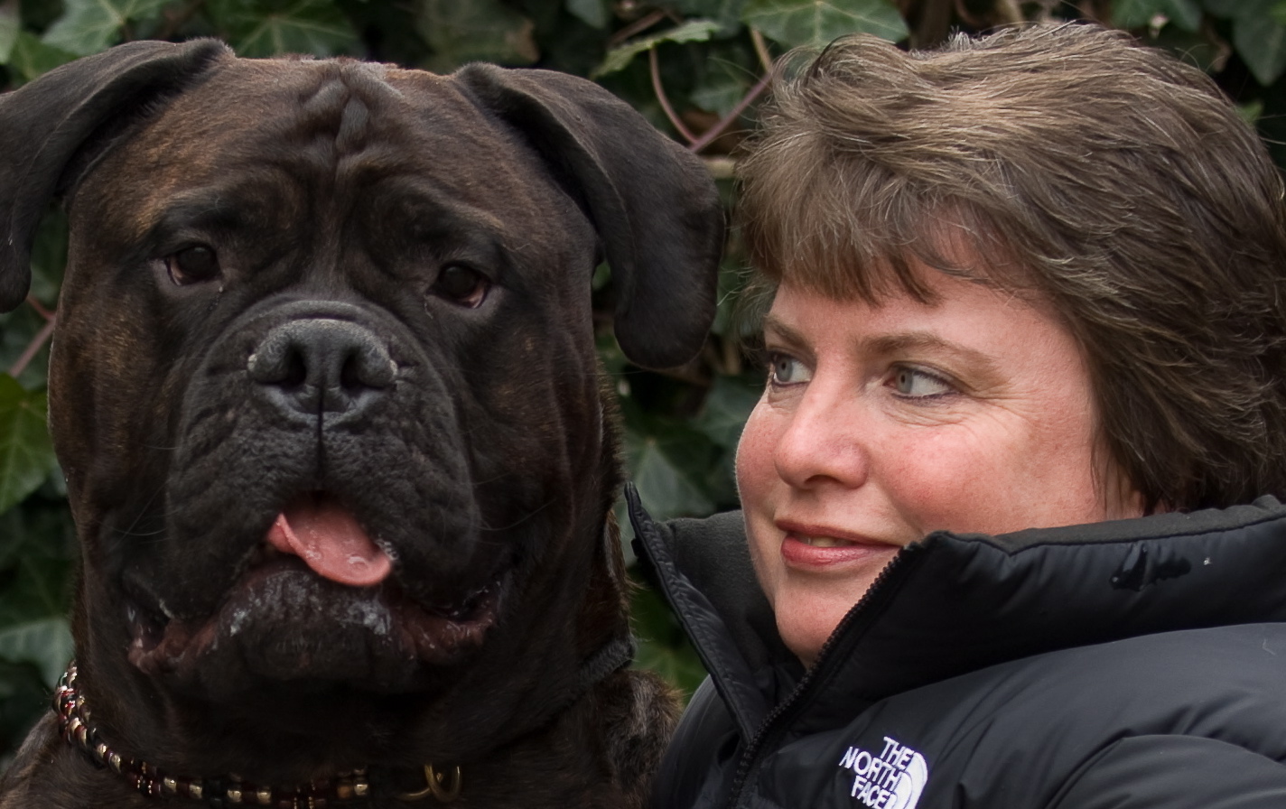 Have Dog Walker Will Travel, Inc's Photo