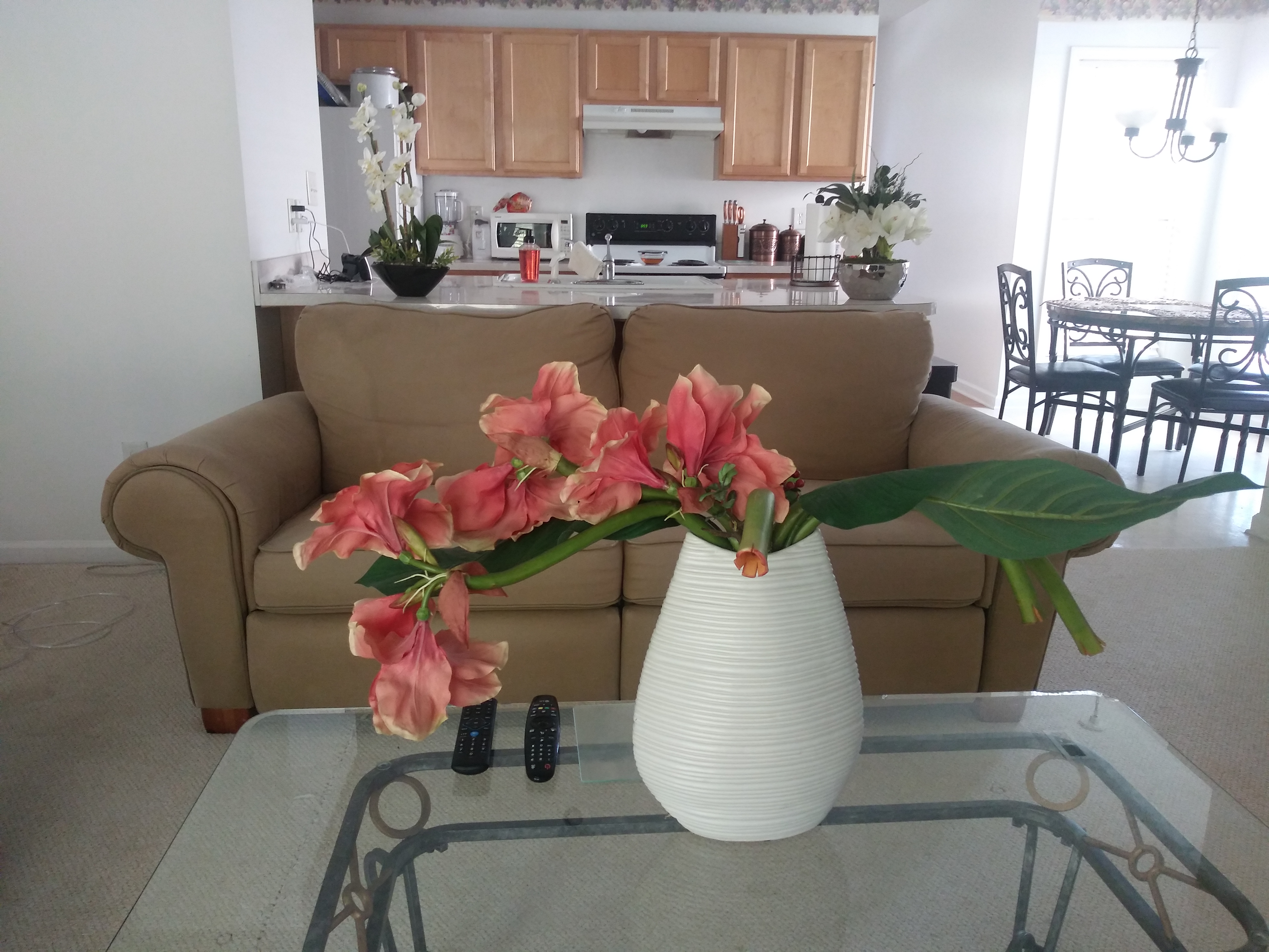 Tara's House's Photo