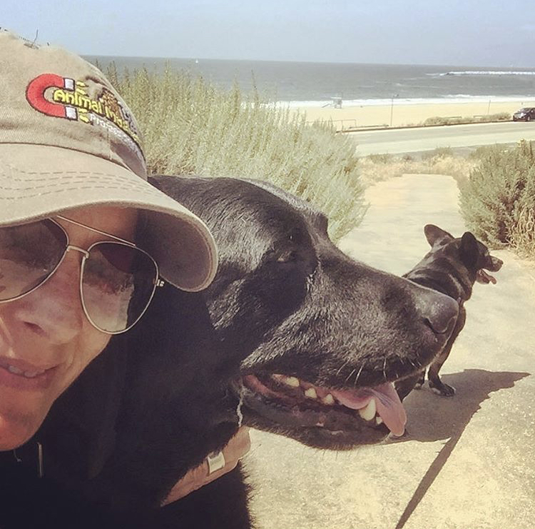 Ruff Life Gear Adventures's Photo