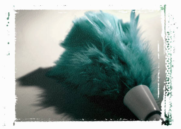 Carried Away Clean's Photo