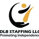 DLB STAFFING LLC