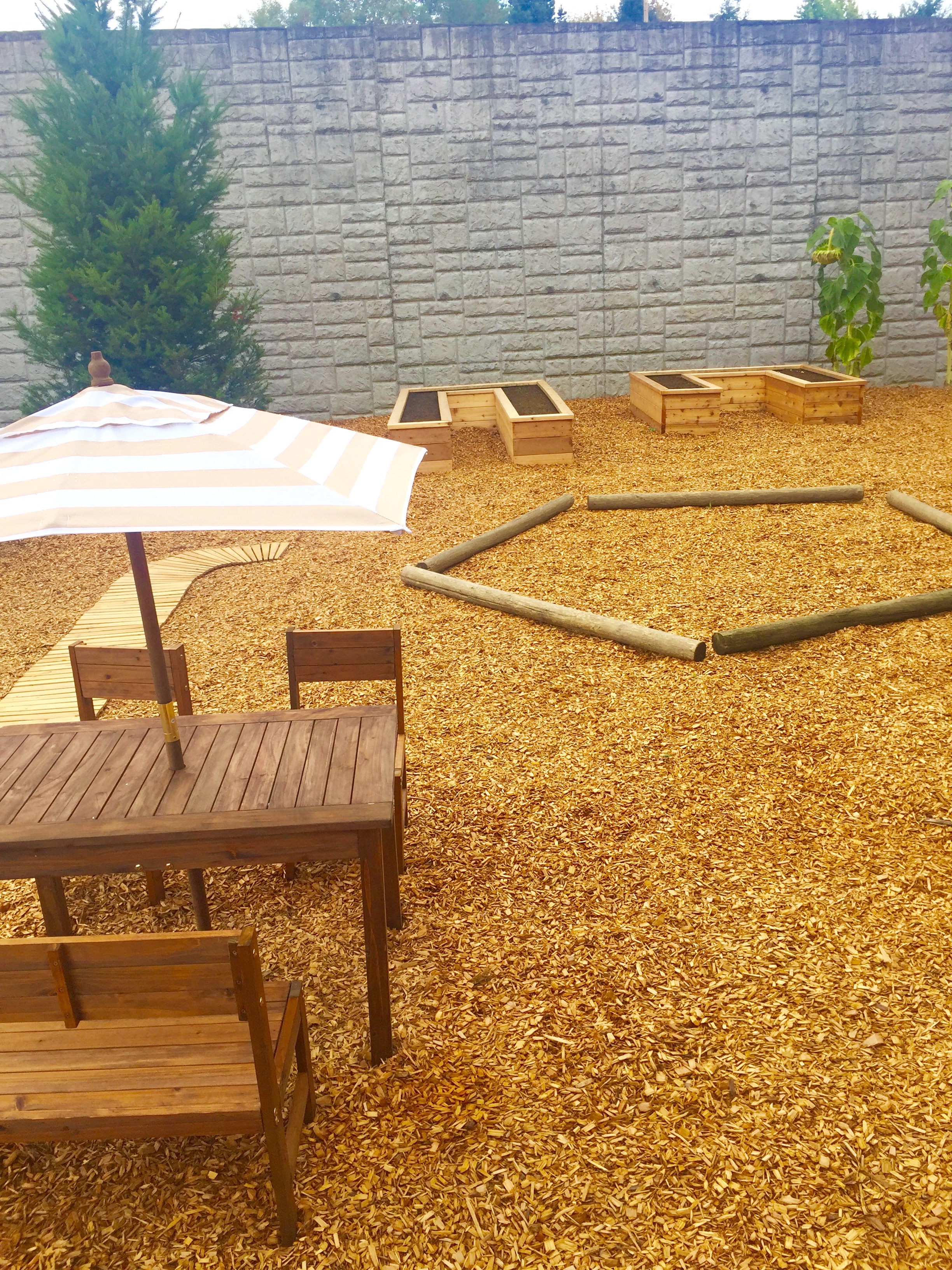 Raindrop Playmates's Photo