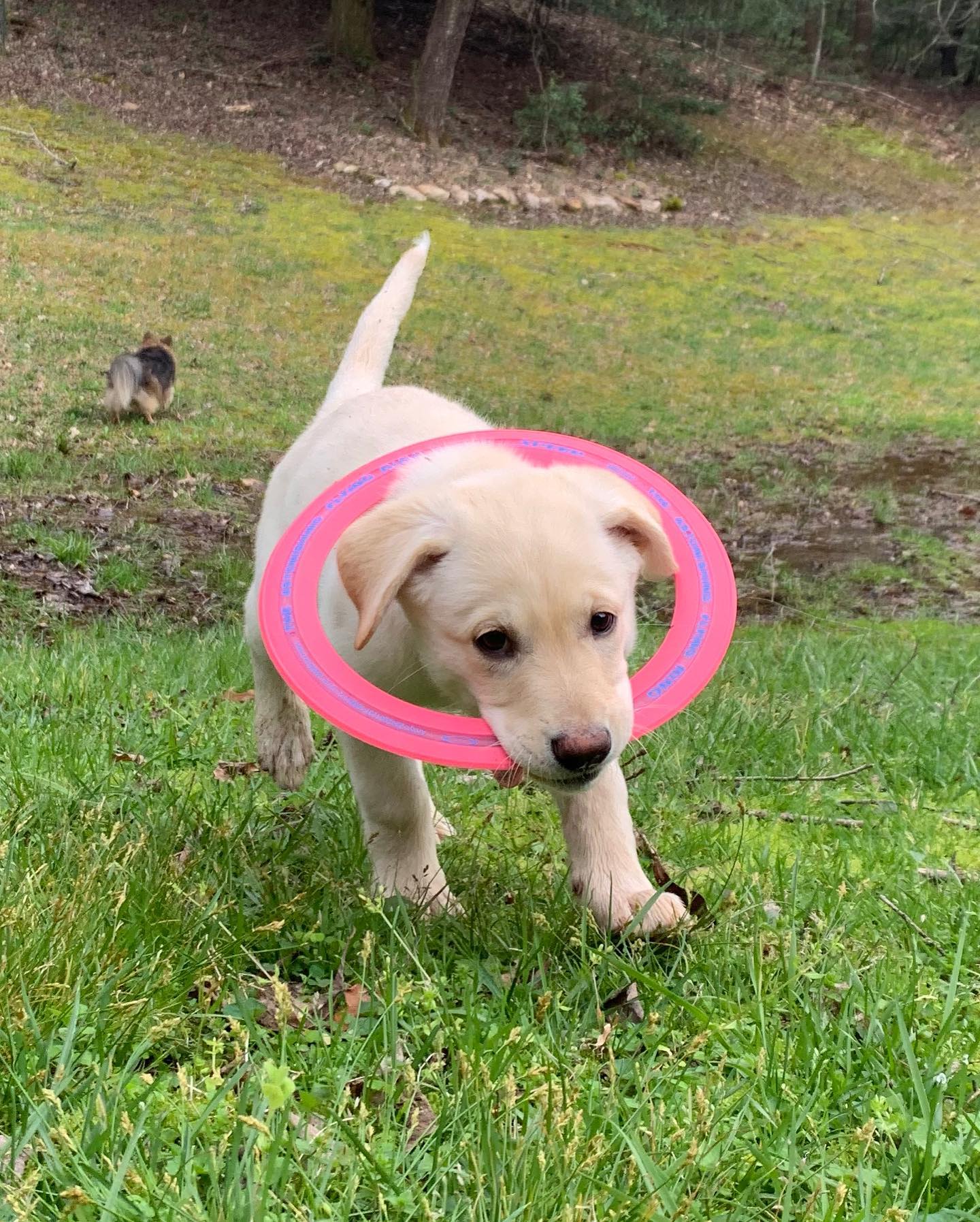 Tipton Acres's Photo