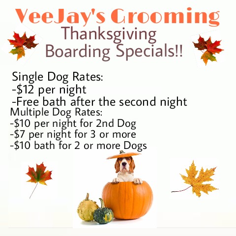 VeeJays Grooming's Photo