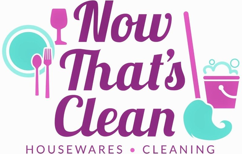 Now That's Clean Logo