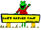 Swift Nature Camp