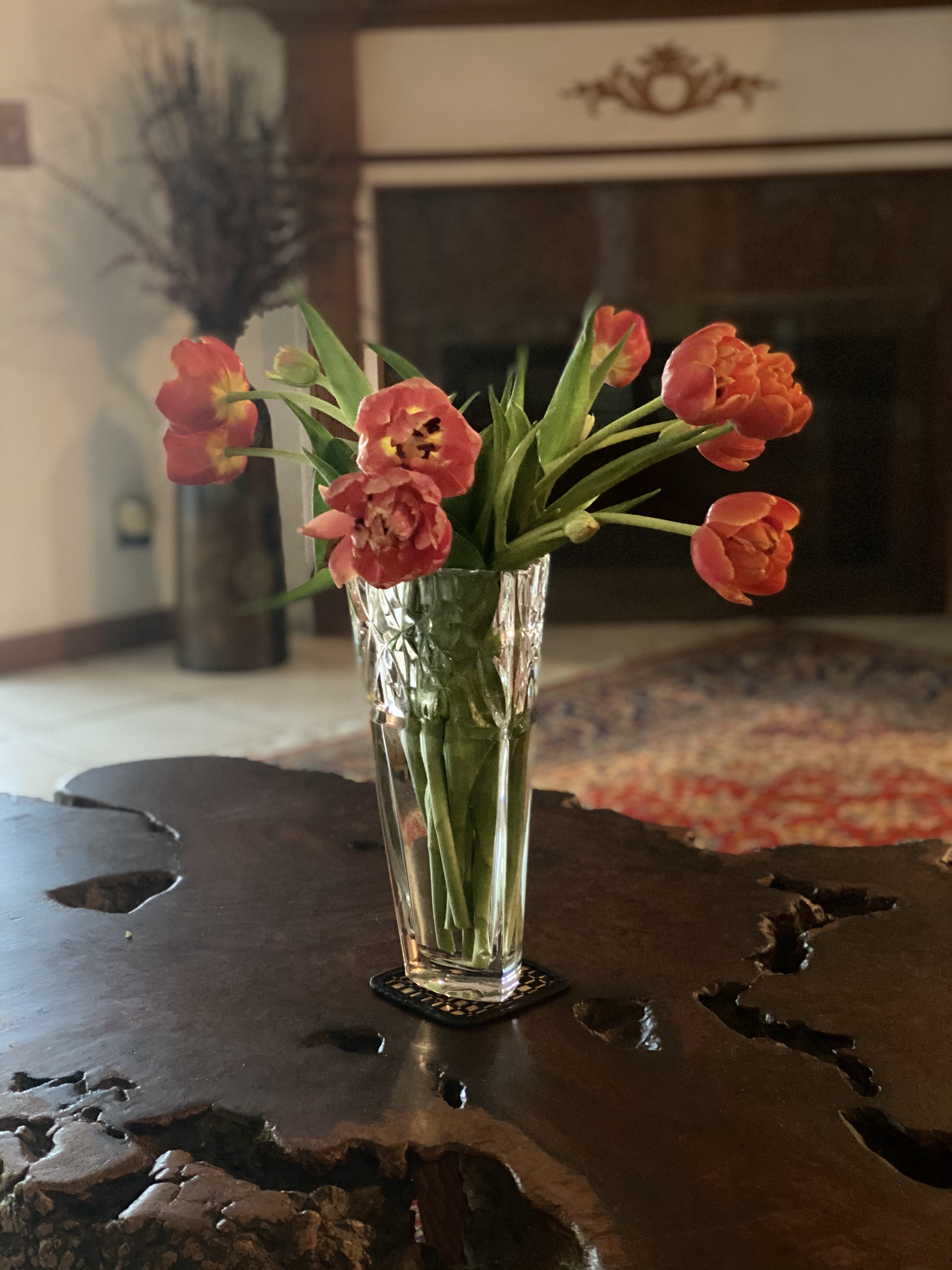 Photo gallery image - 1