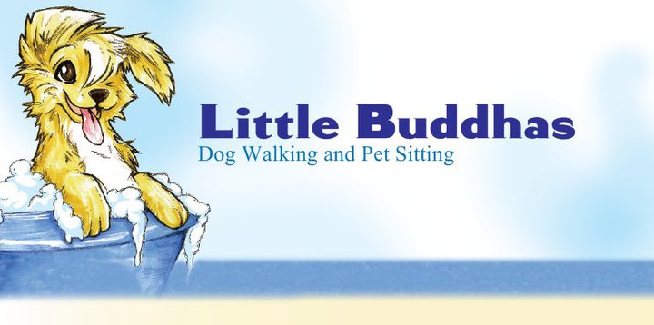 Little Buddhas Dog Walking & Pet Sitting's Photo