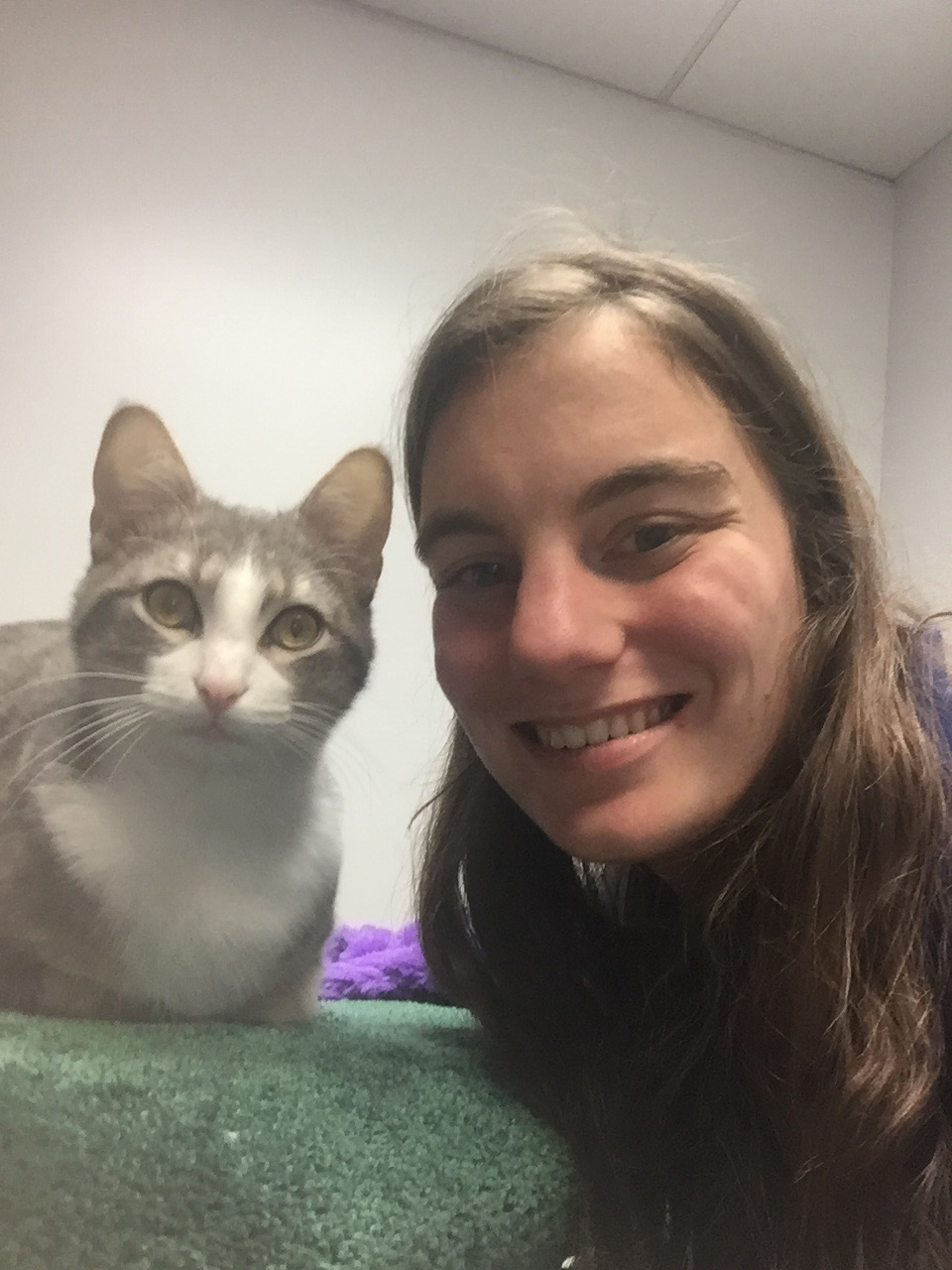 Whiskers On Kittens Cat Boarding's Photo