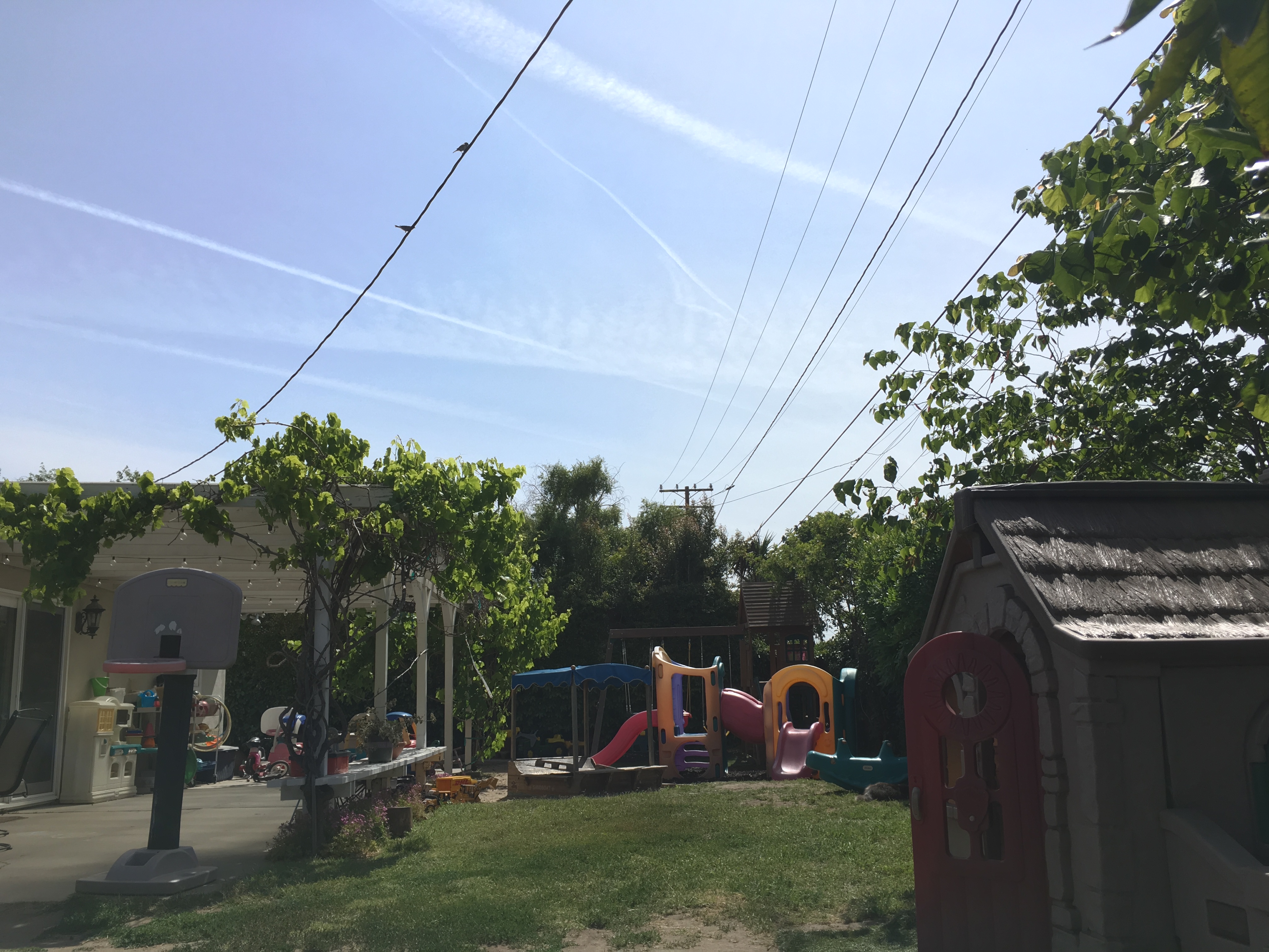 Stone Soup Preschool And Child Care's Photo
