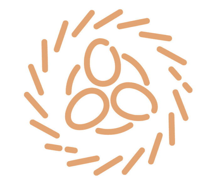 Learning Nest Logo