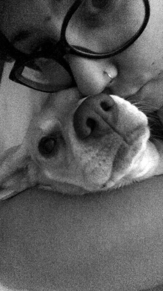 Colleen's Animal Care's Photo