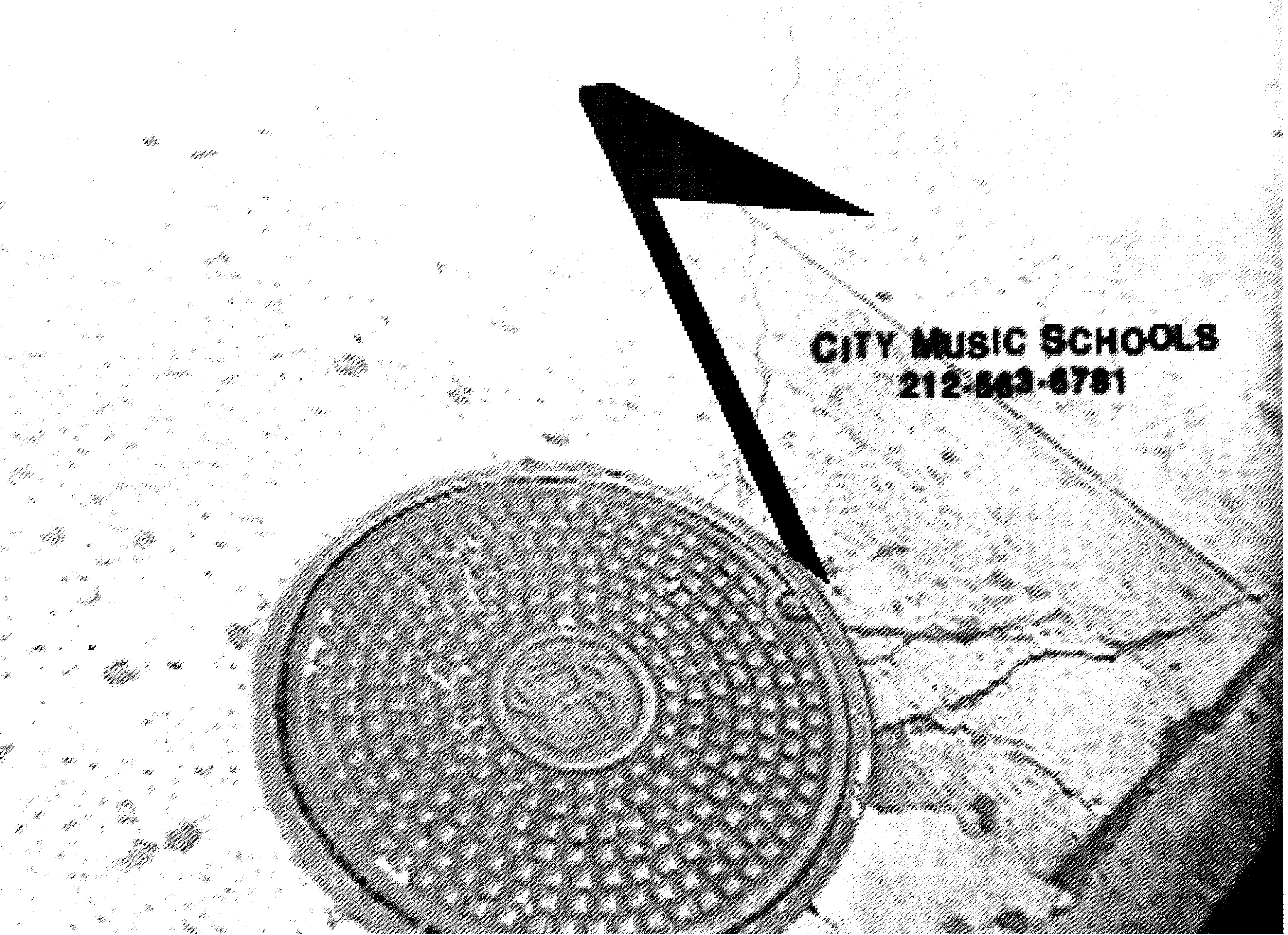 City Music Schools's Photo
