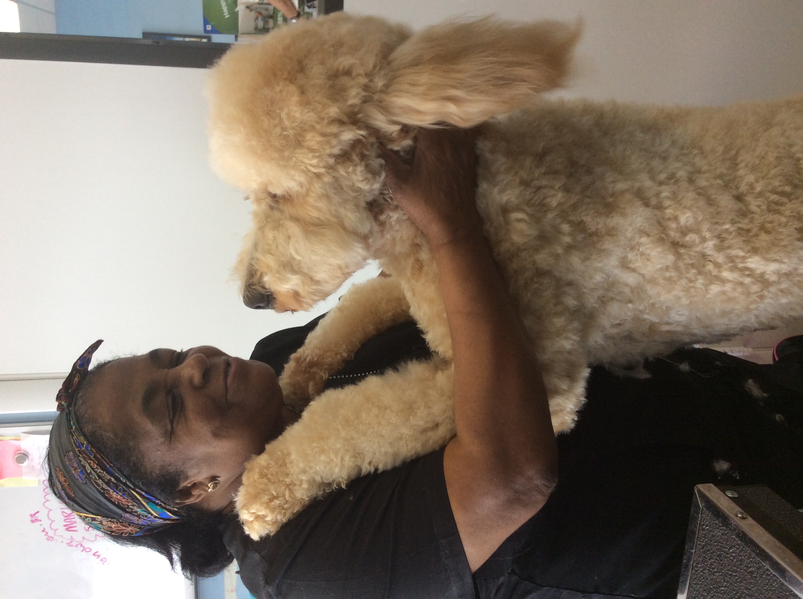 Rosa's Pet Grooming Spa's Photo