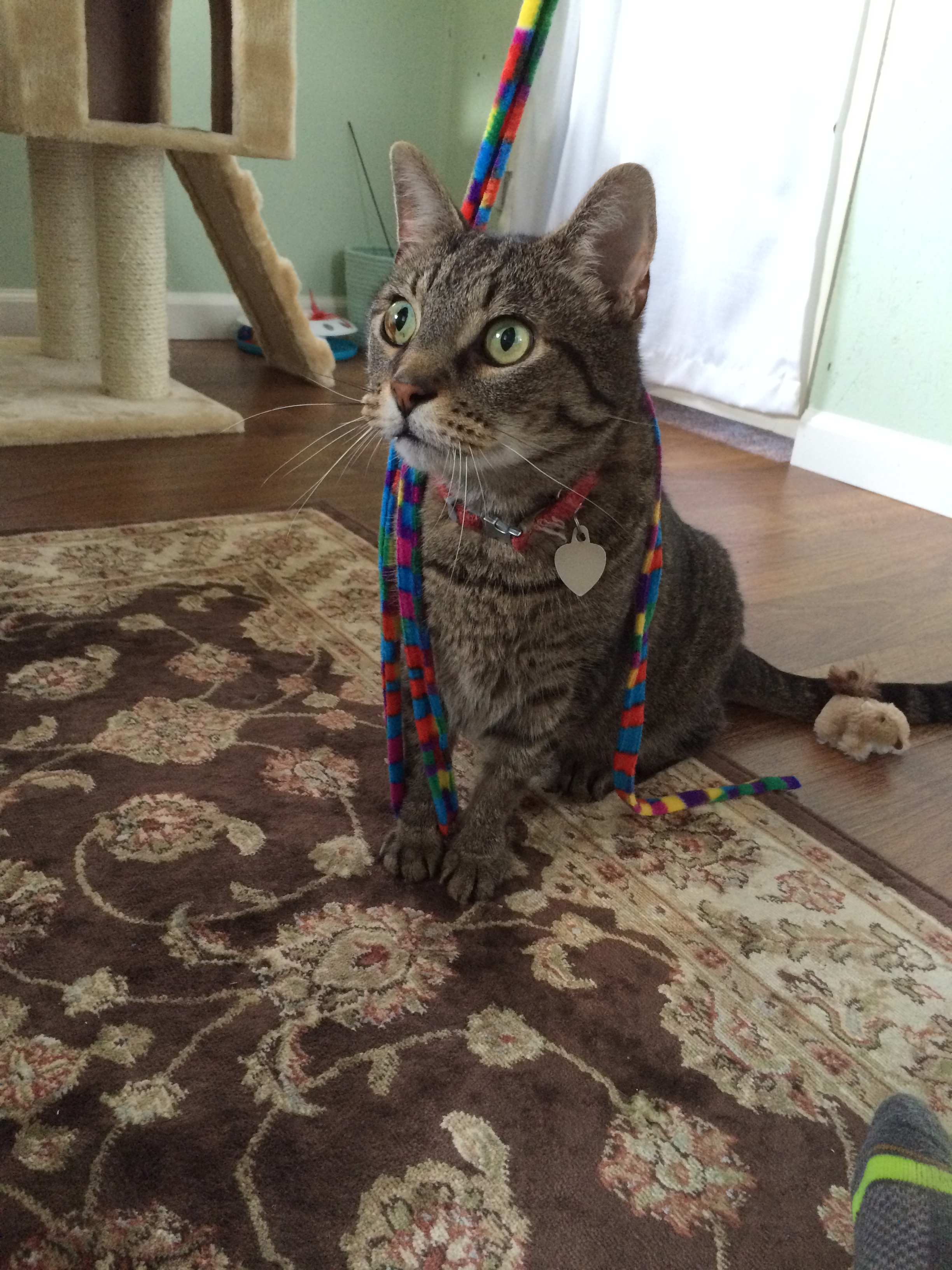 Flat Creek Pet Care's Photo