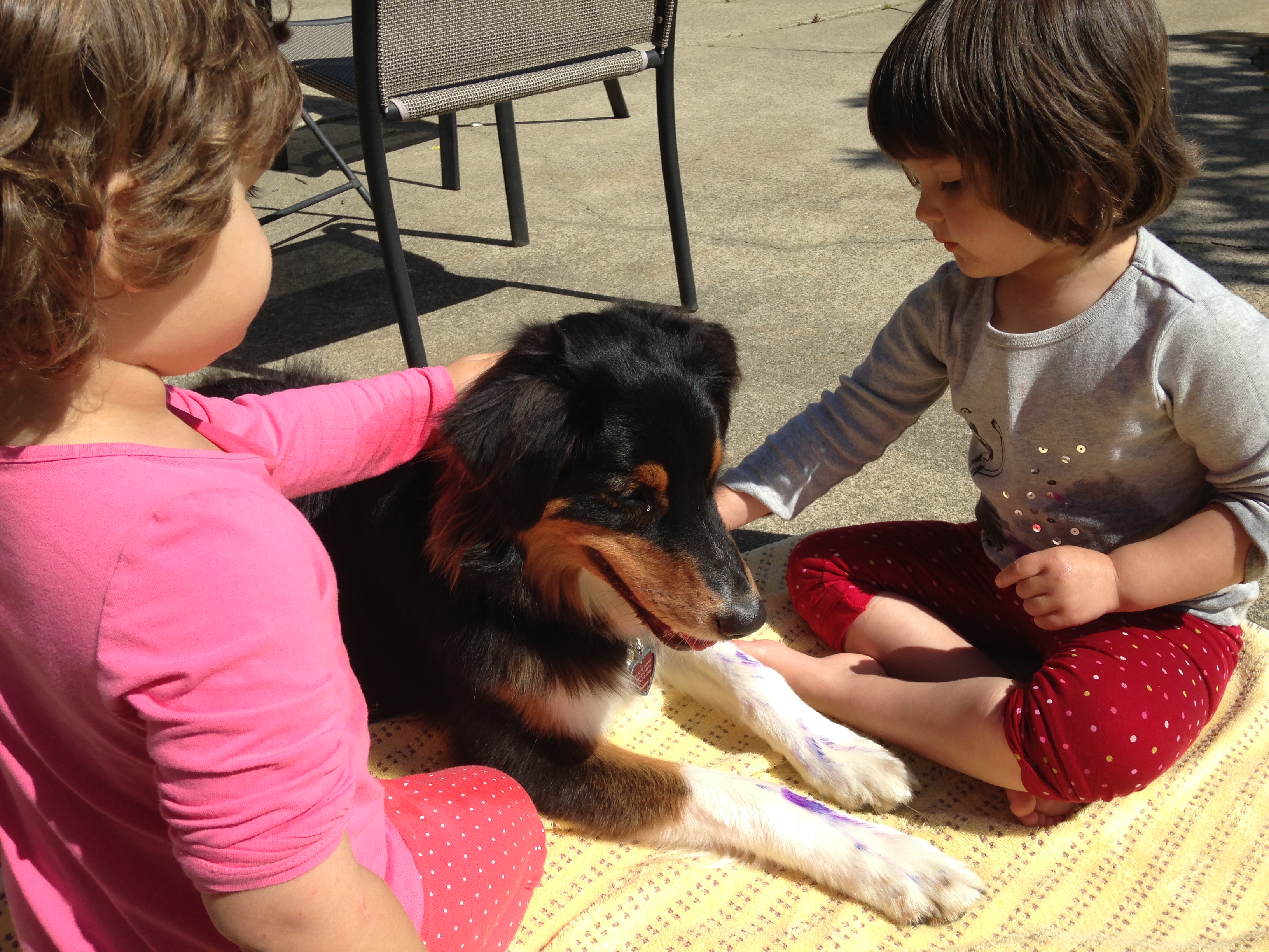 Starbright Daycare (German-English Bilingual)'s Photo