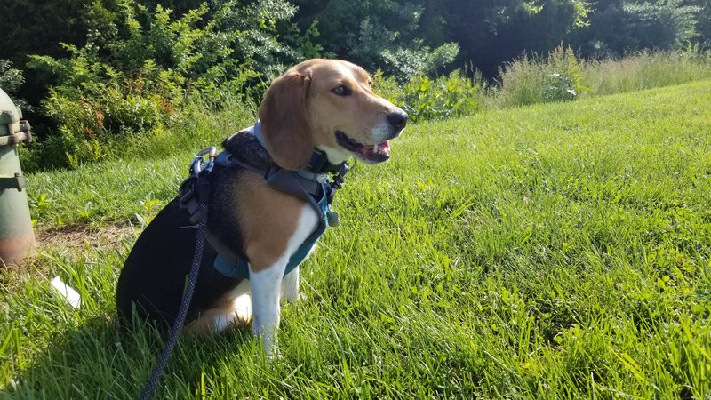 Freedom Solutions LLC's Photo