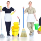 La d claveles cleaning services