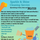 Sparkle & Shine Cleaning Services