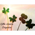 Little Clovers Daycare