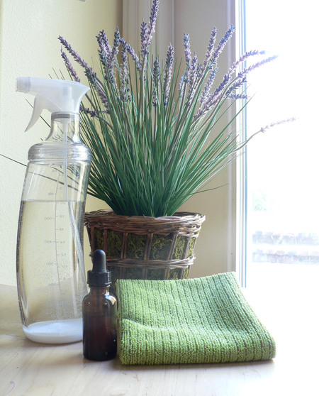 Naturally Clean Portland