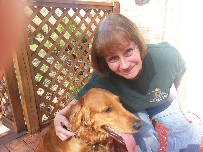 Sweet Paws Service's Photo