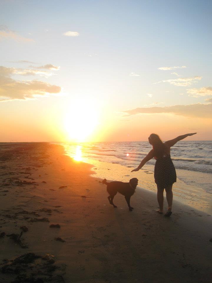 NC Adventure Dog's Photo