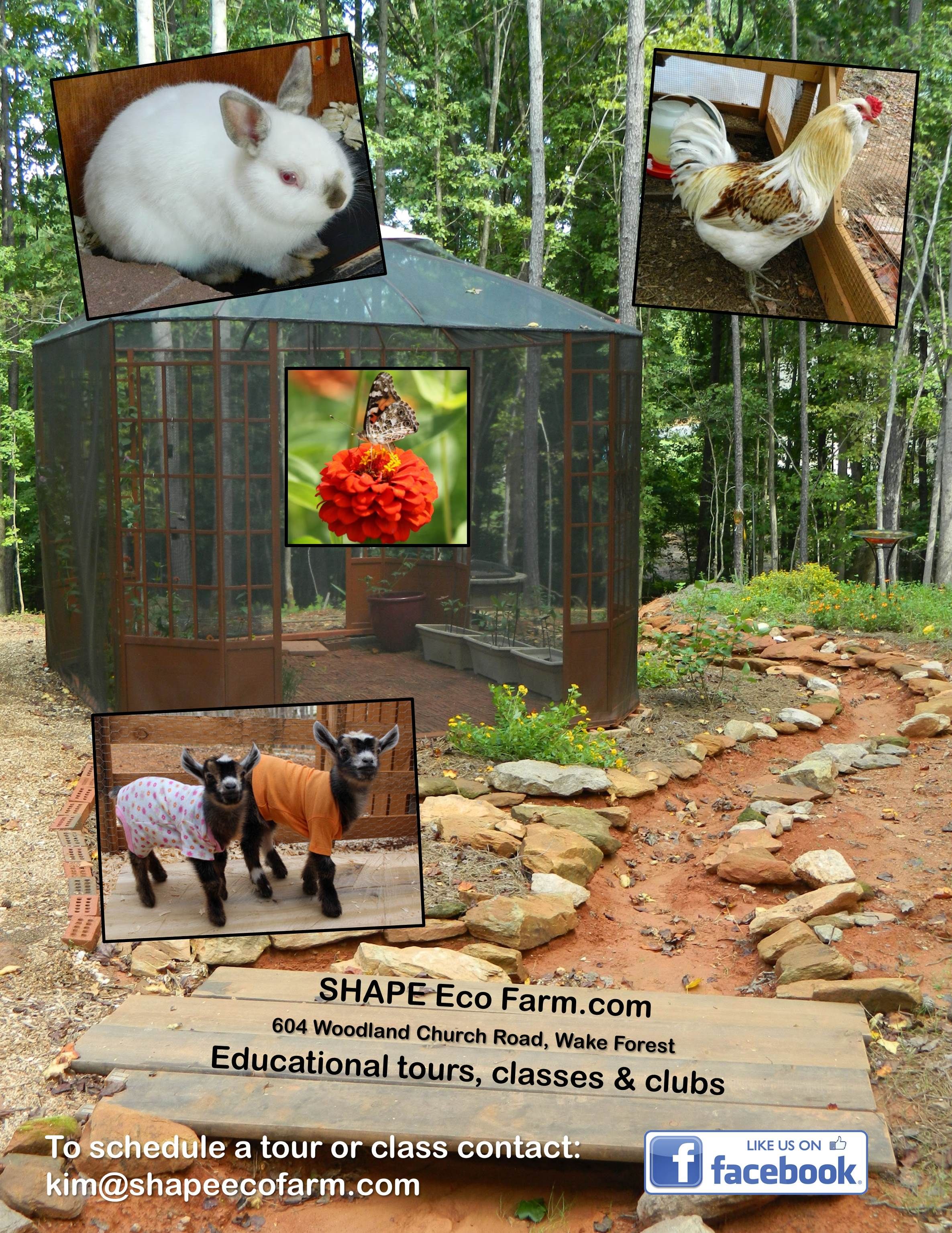 Shape Eco Farm "farm Girl In Training" Logo