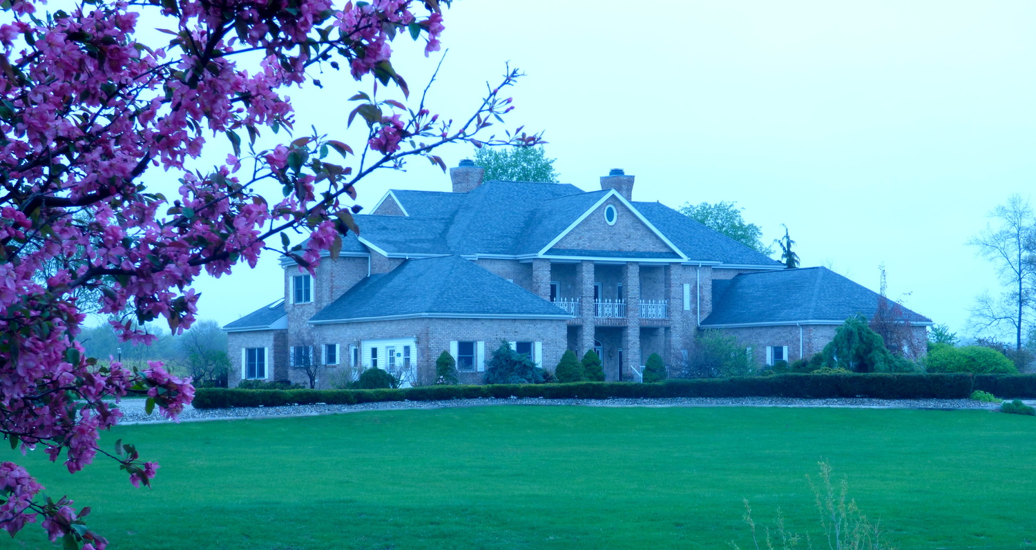 Photo gallery image - 2