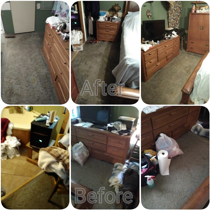Busy Bee Housekeeping's Photo