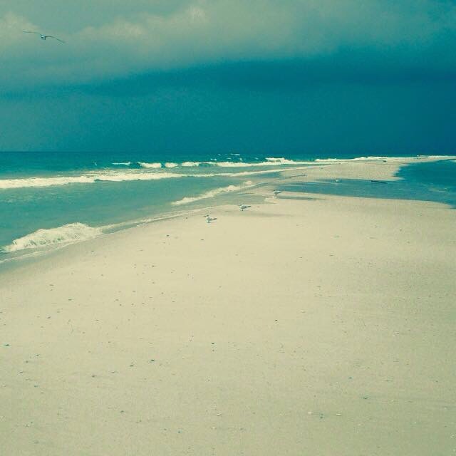 Gulf County Gopher's Photo
