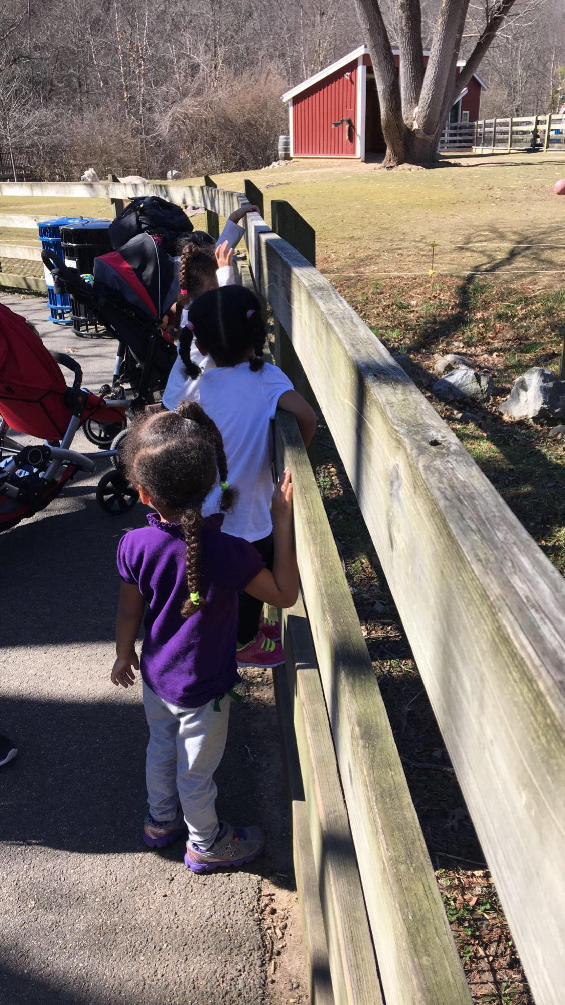 Sol Daycare's Photo