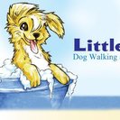 Little Buddhas Dog Walking & Pet Sitting