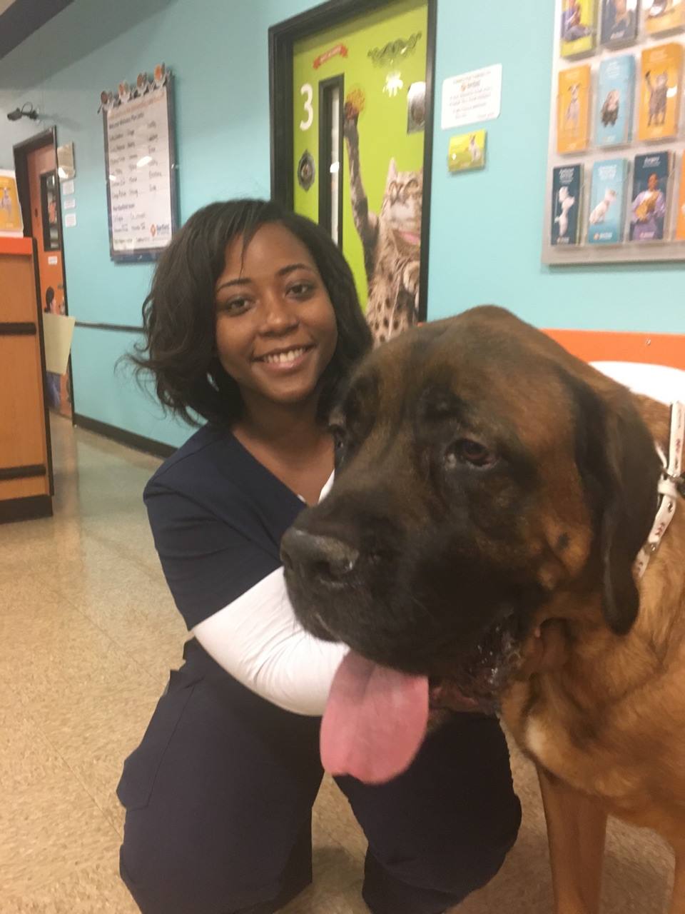 Touch Of Love Cleaning Services's Photo