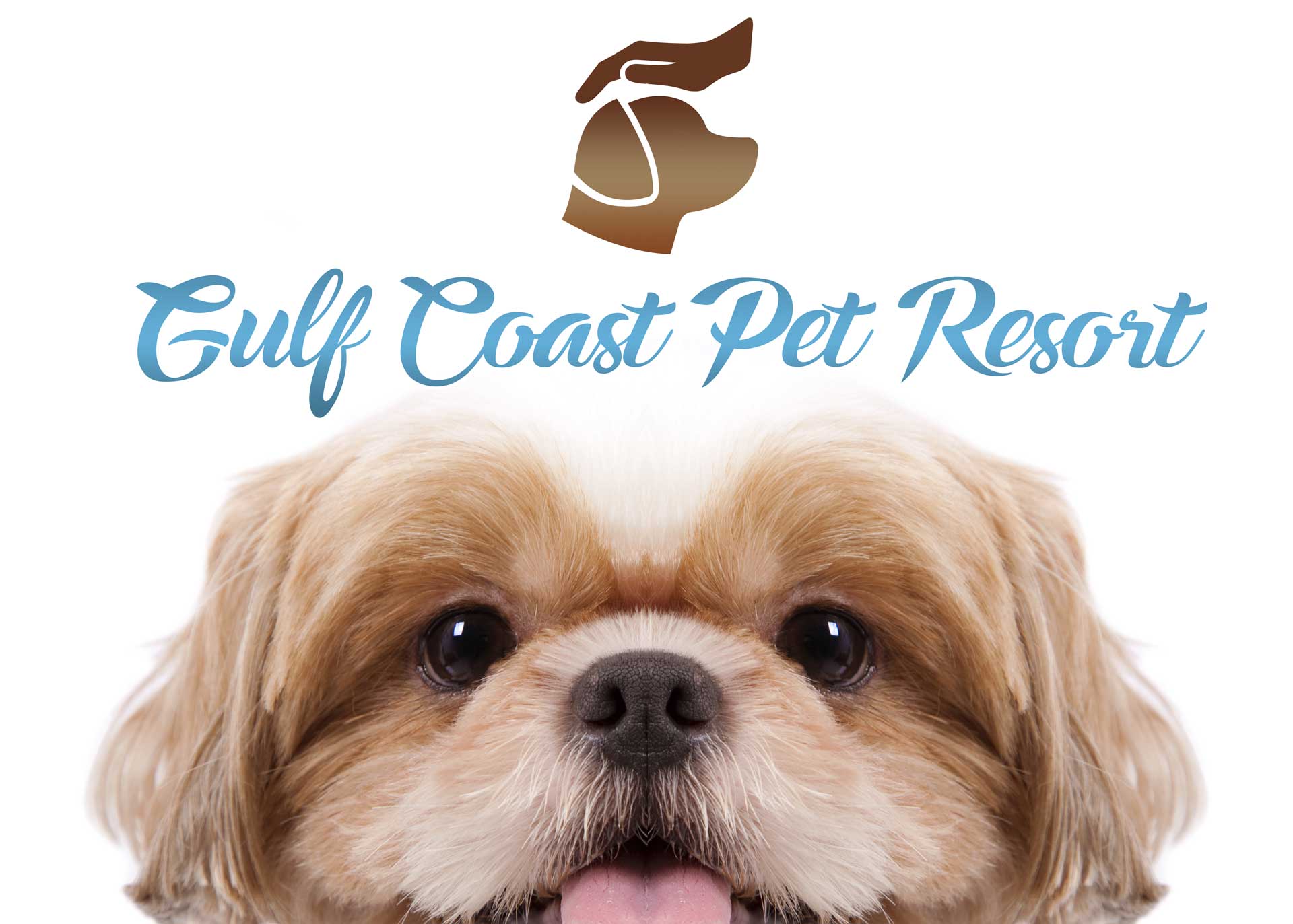 Gulf Coast Pet Resort Dog Boarding's Photo