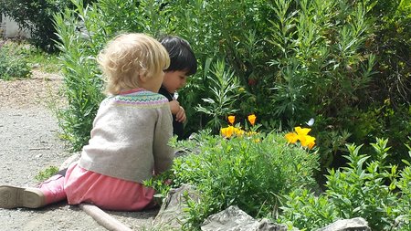 Birdsong Outdoor School's Photo