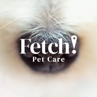 Fetch! Pet Care Of Charlottesville Logo