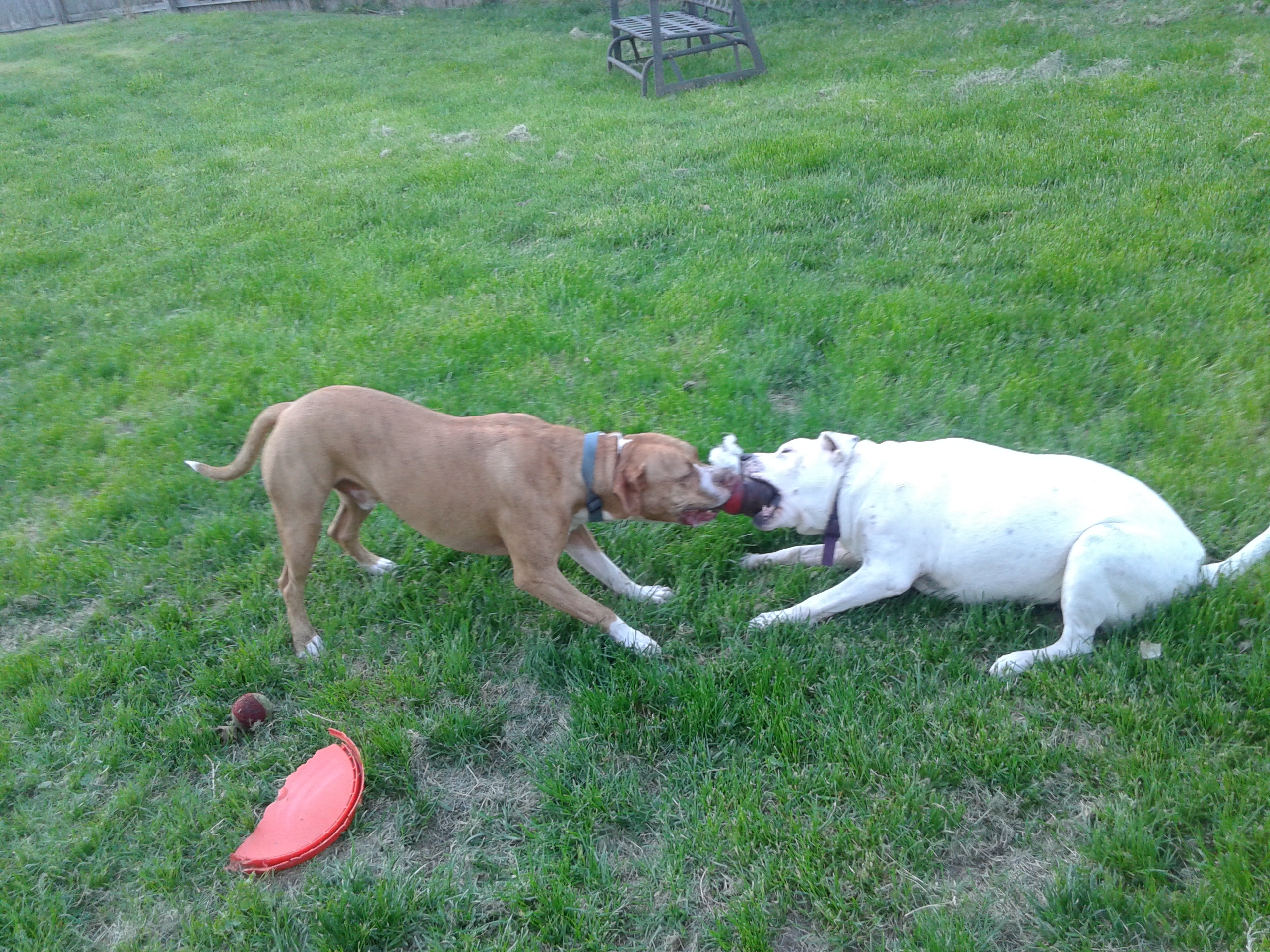 Kane's Koncierge's Photo