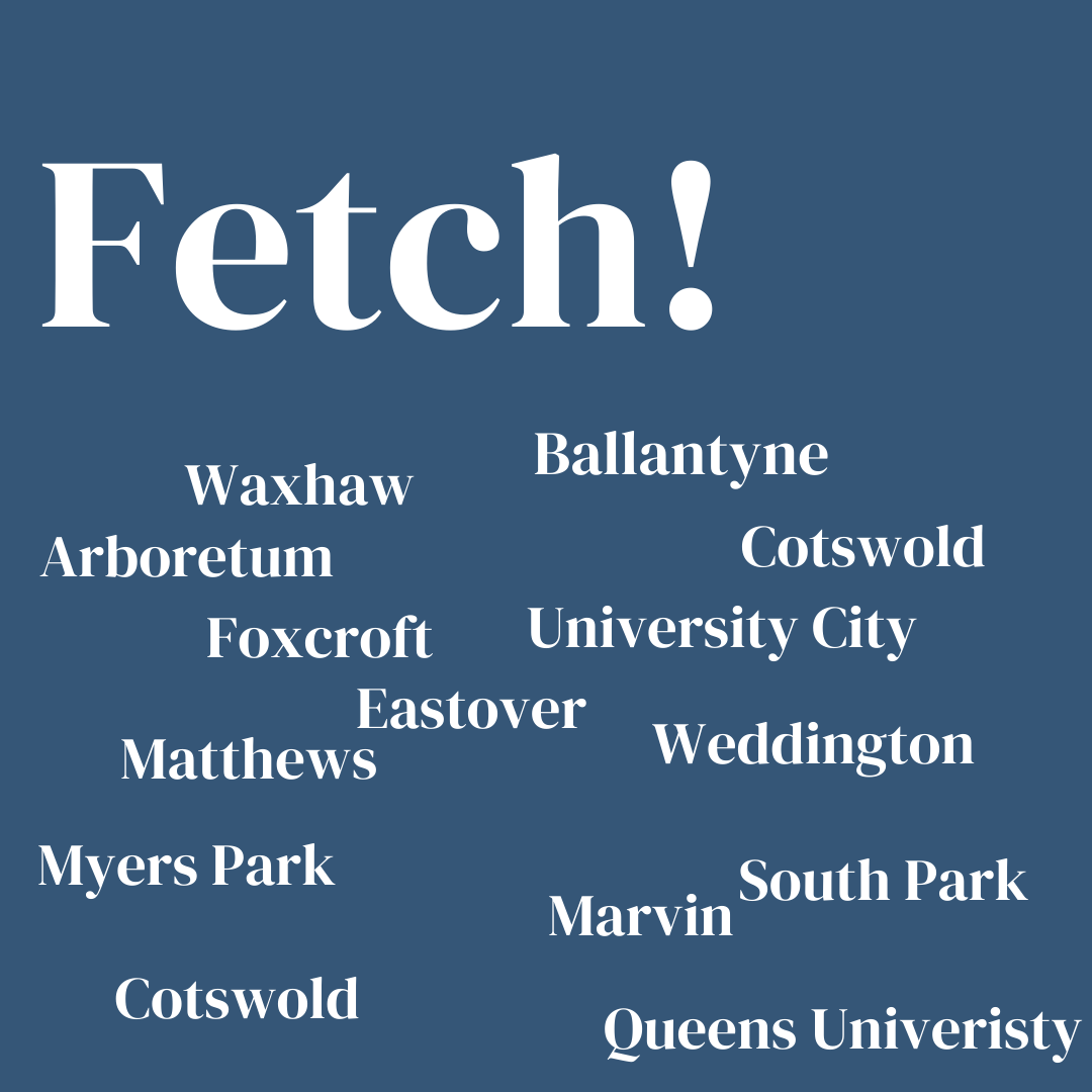 Fetch! Pet Care South Charlotte's Photo