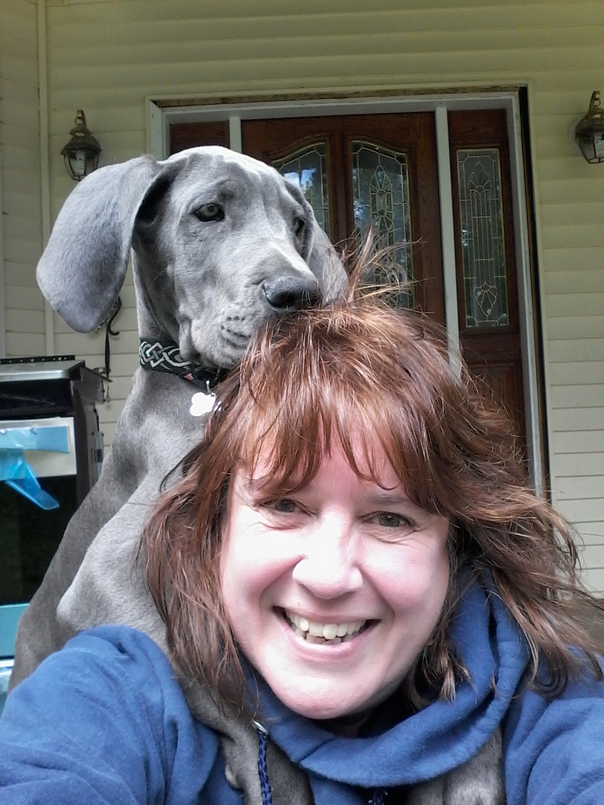 Three Dog Training's Photo