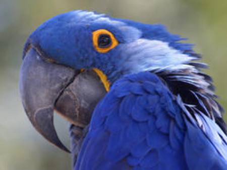 Furry People Pet Sitting's Photo