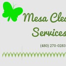 MESA CLEANING SERVICES LLC