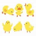 Little Duckling