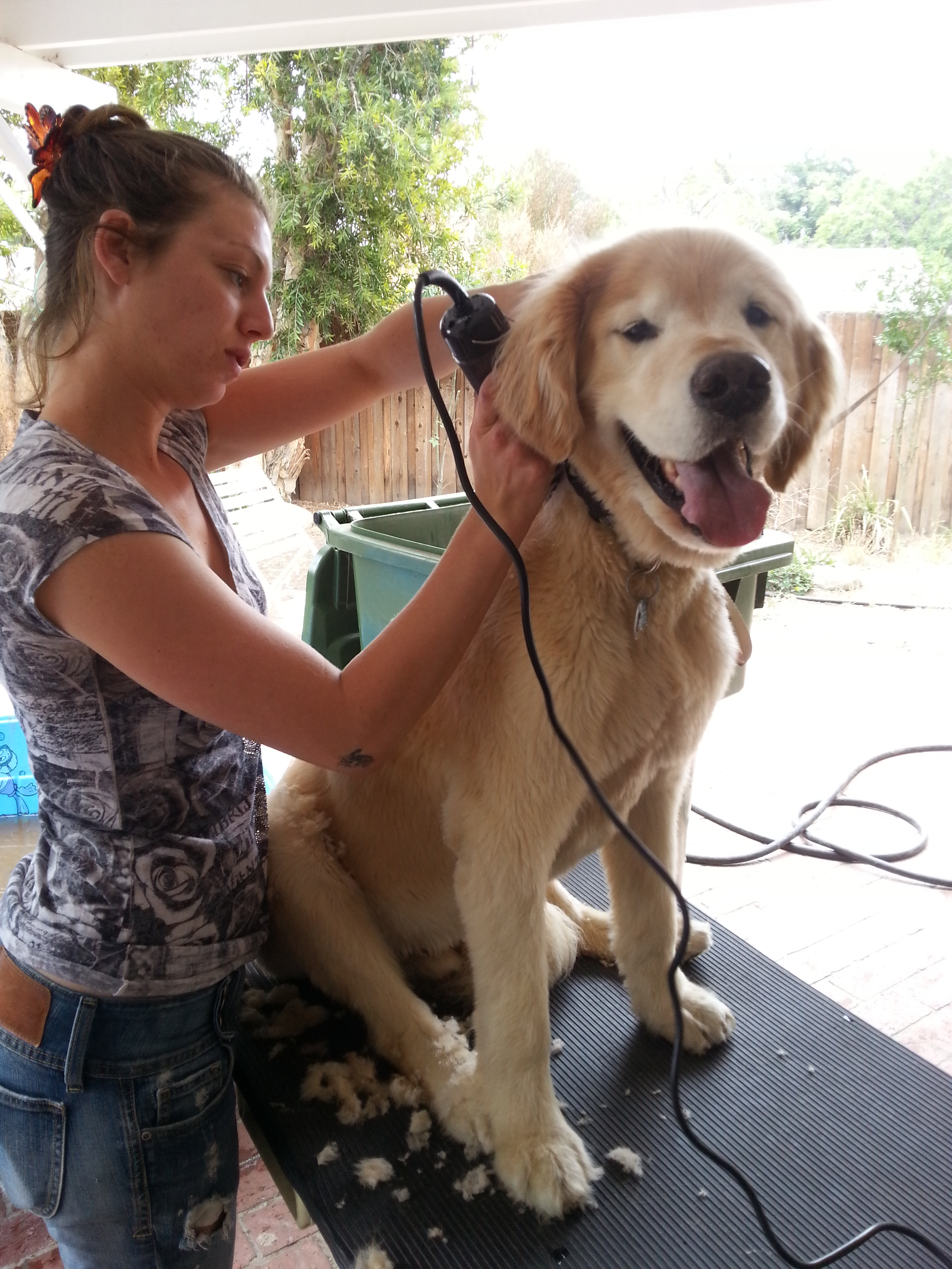 Uncle Jeff's Resort Boarding Doggie Day Care & Sitting's Photo